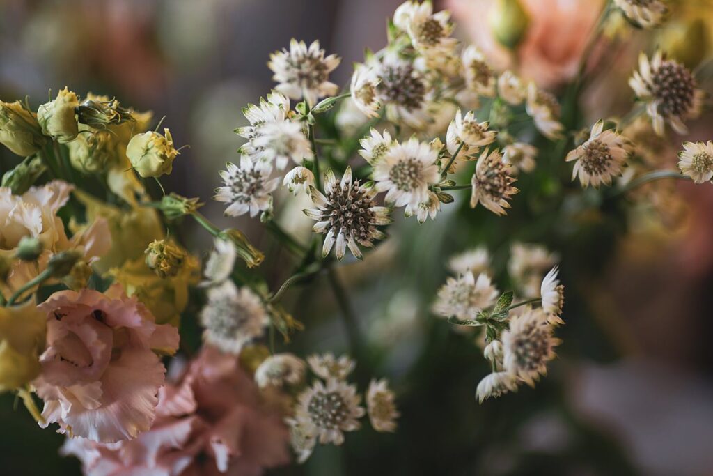 Blüten-Bijou - Impressionen 2026