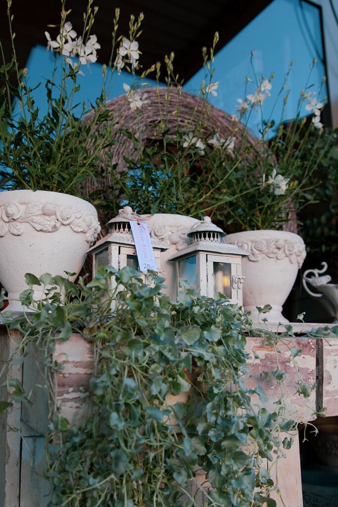 Blüten-Bijou - Impressionen 2026