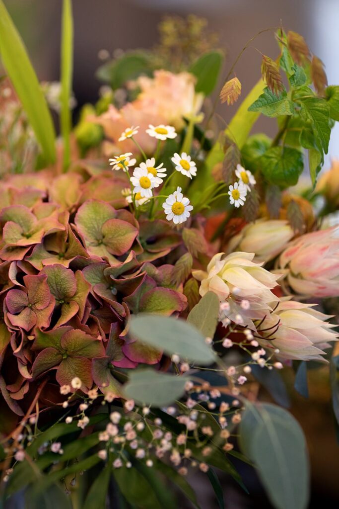 Blüten-Bijou - Impressionen 2026