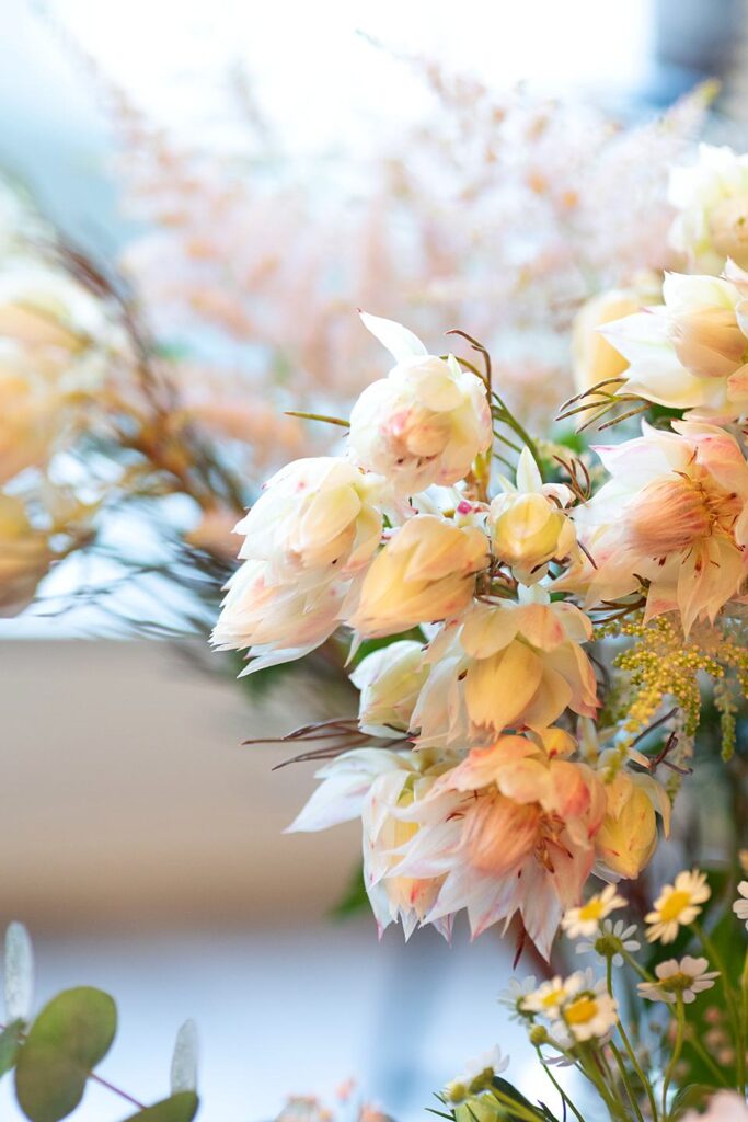 Blüten-Bijou - Impressionen 2026