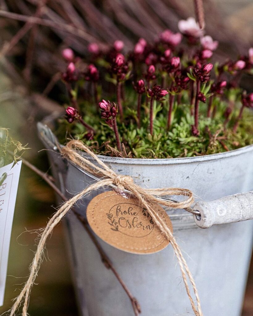 Blüten-Bijou - Impressionen 2026