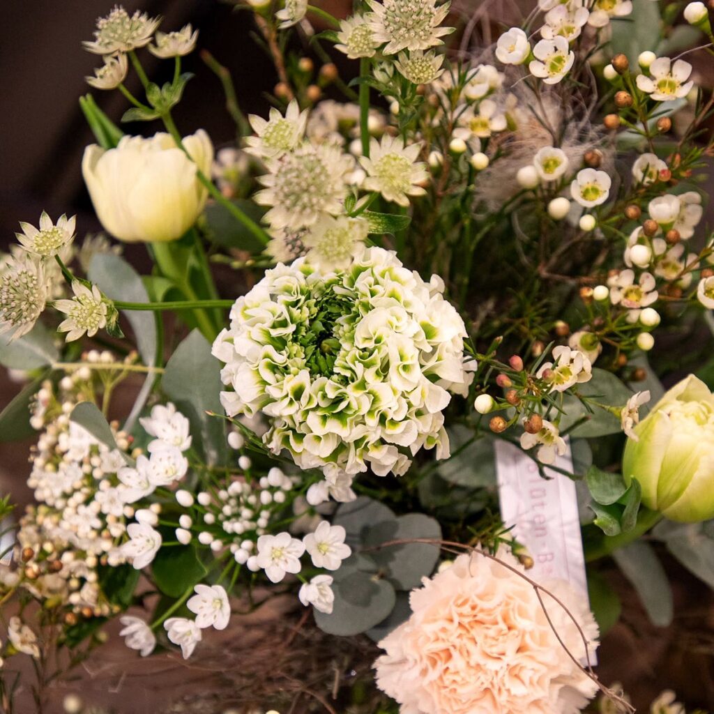 Blüten-Bijou - Impressionen 2026