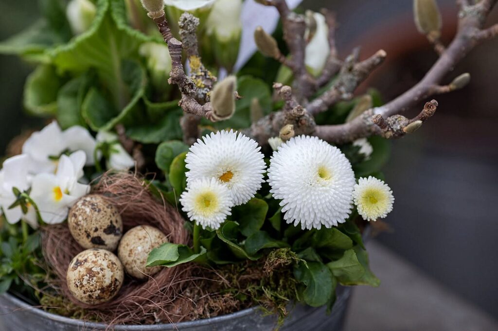 Blüten-Bijou - Impressionen 2026