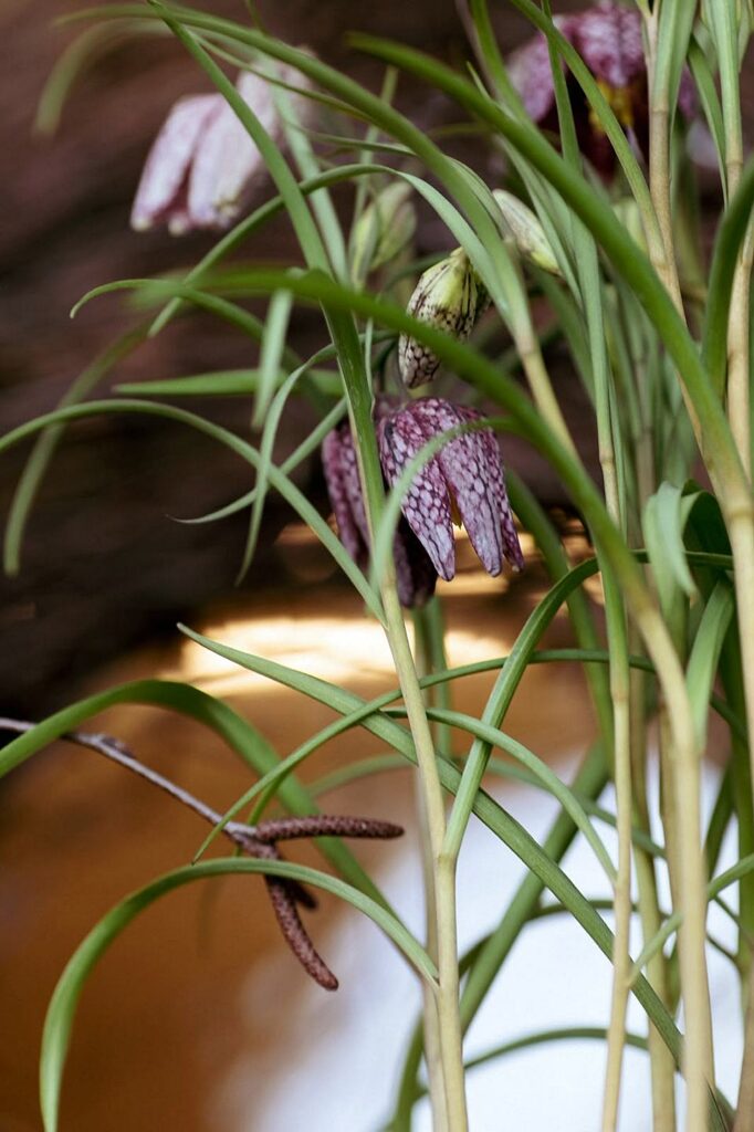 Blüten-Bijou - Impressionen 2026