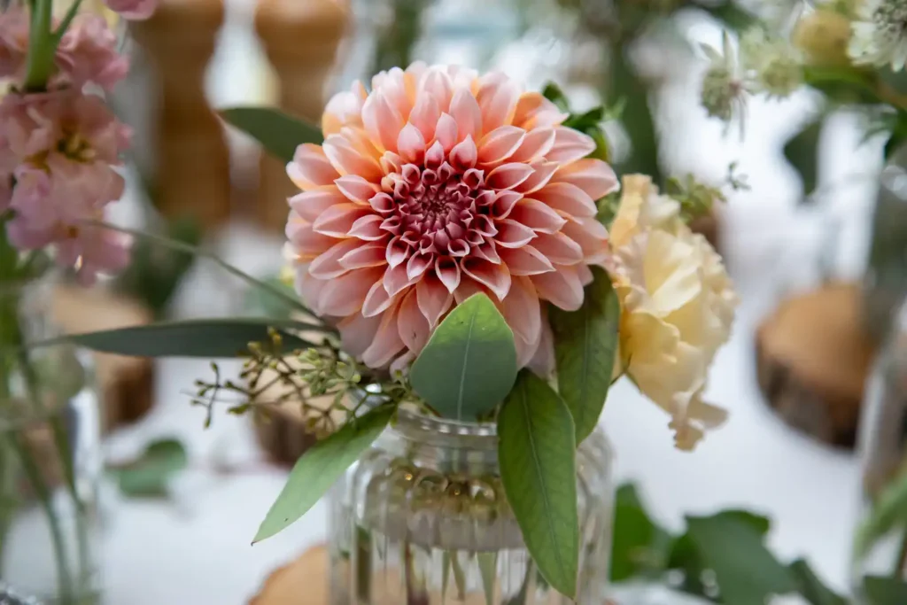 Blüten-Bijou - Hochzeit Galerie 2026